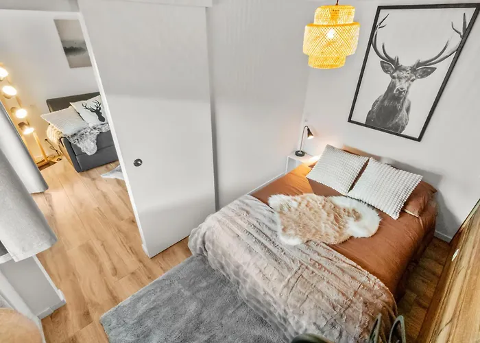 Magnifique Rénové * Saas-Fee